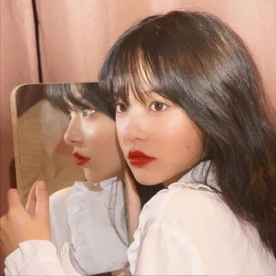 狗的审判